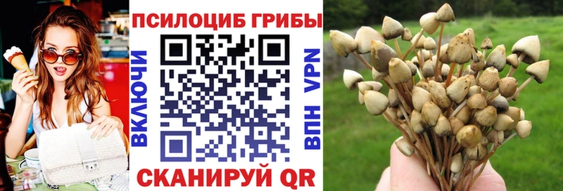 Псилоцибиновые грибы Magic Shrooms  Отрадная 